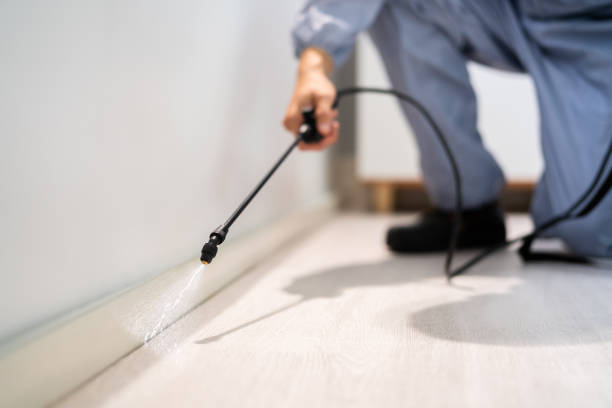 Licensed Pest Control service in Wellington, CO - Show Me Pest Control