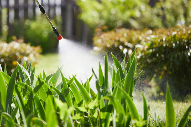 Tamper-Resistant Bait Stations for Rodents in Wellington