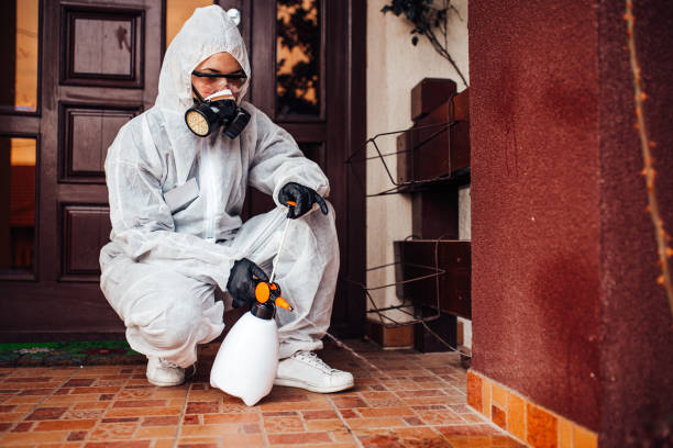 Attic and Crawl Space Rodent Treatment in Wellington